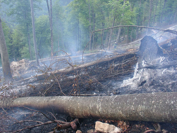 Waldbrand Reichraming 2007 - 