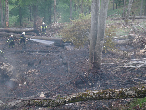 Waldbrand Reichraming 2007 - 