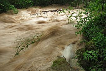 Hochwasser Juni-August 2009 - 