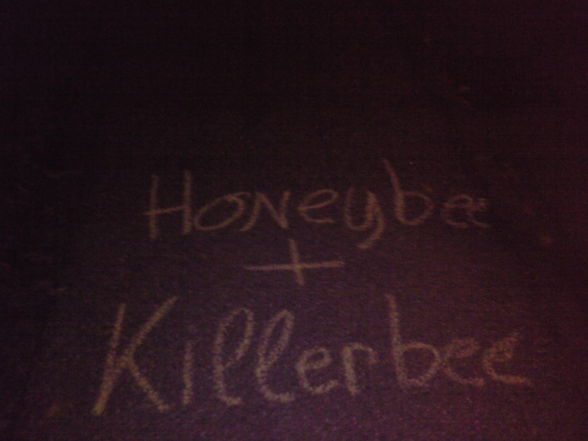 killerbee&Honeybee  - 