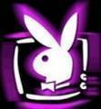 PlAyBoY bUnNyS - 