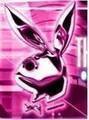 PlAyBoY bUnNyS - 