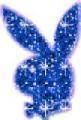 PlAyBoY bUnNyS - 