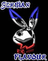 PlAyBoY bUnNyS - 