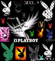 PlAyBoY bUnNyS - 