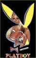 PlAyBoY bUnNyS - 