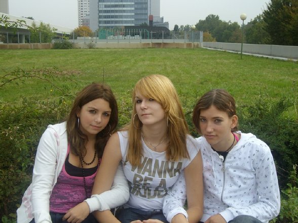 Wienwoche 2008 - 