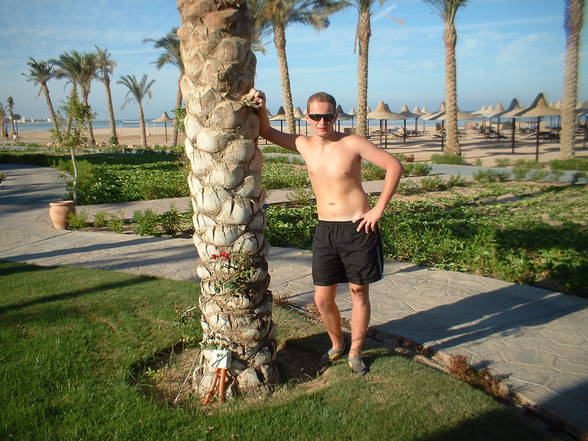 Sharm el Sheikh - 