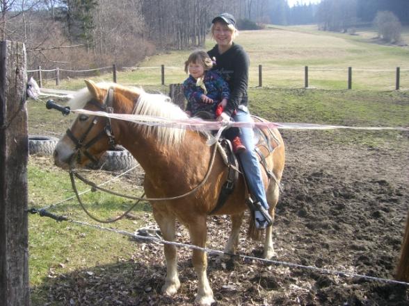 WESTERN REITEN - 