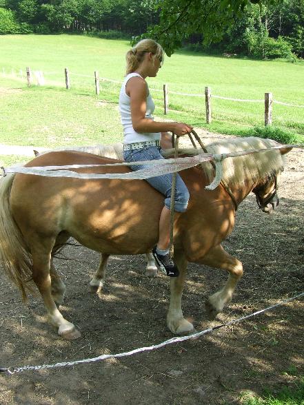 WESTERN REITEN - 