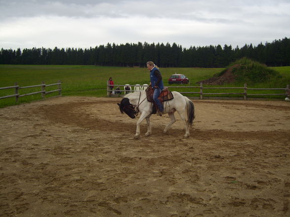 WESTERN REITEN - 