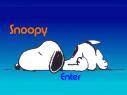 Puma,Snoopy und soo... - 