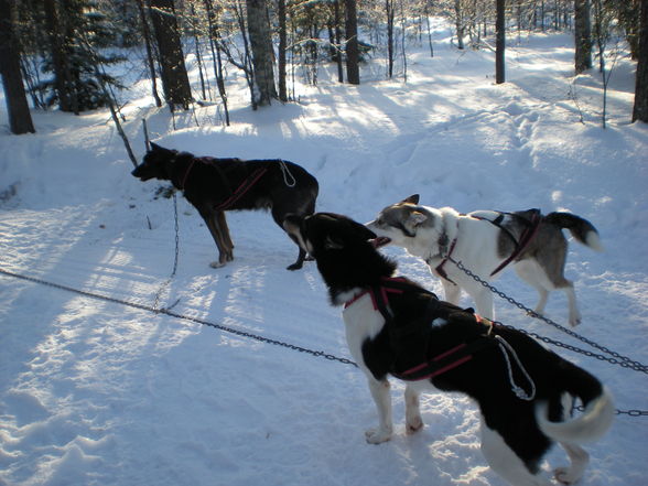 LAPPLAND & NORDKAPP - 