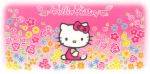 I love HELLO KITTY - 