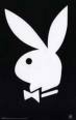 playboy - 