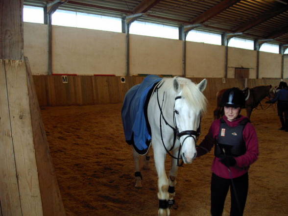 Mei pferdal u. da reitstall - 