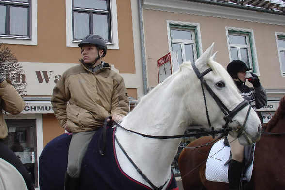 Mei pferdal u. da reitstall - 