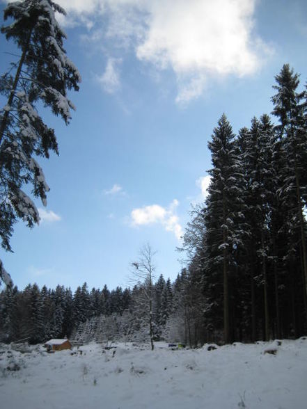 ✿ Winterzeit 2010/ 2011 ✿ - 