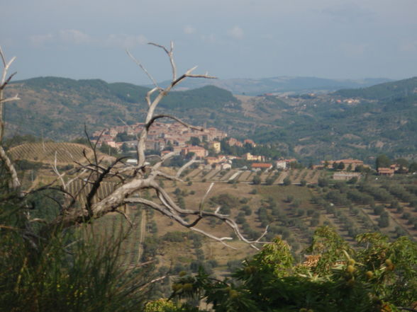 Toscana - 