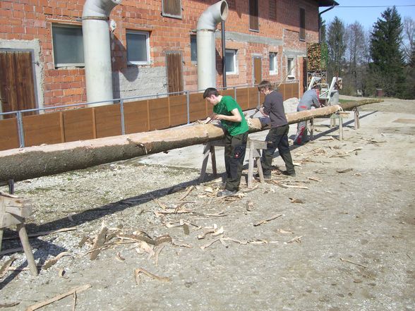 Zöbels Maibaum  - 