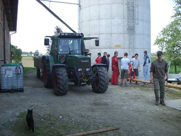 Zöbels Maibaum  - 