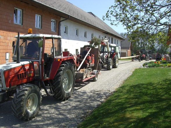 Zöbels Maibaum  - 