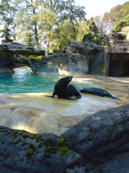 hagenberg-Der Zoo in Hamburg - 