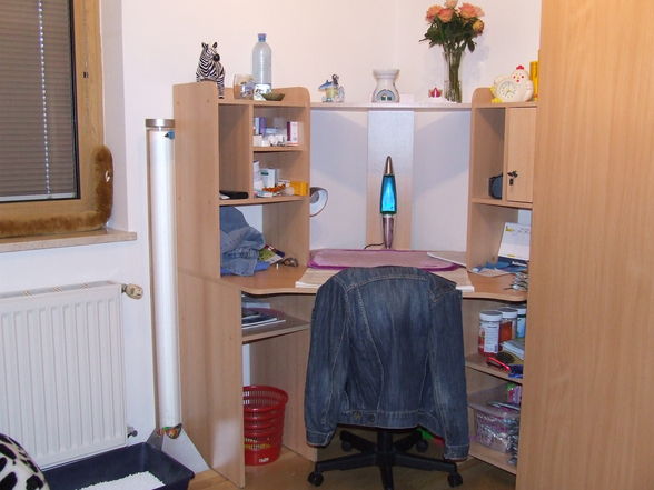 Mein neues Zimmer - 