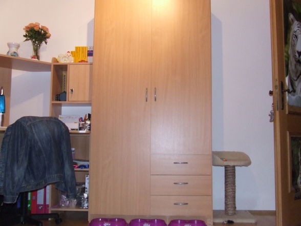 Mein neues Zimmer - 