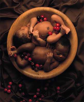 Anne Geddes - 