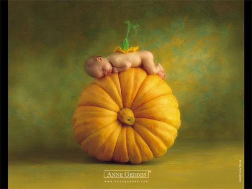 Anne Geddes - 