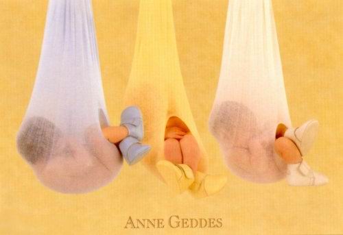 Anne Geddes - 