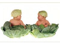 Anne Geddes - 