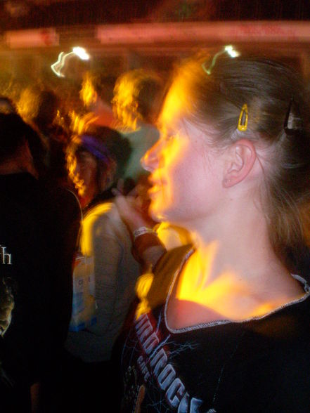 Rock im Park 2008 - 