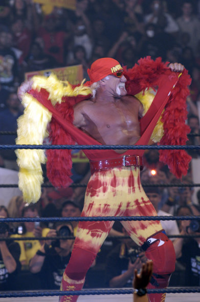 Hulk Hogan - 