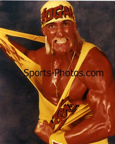 Hulk Hogan - 