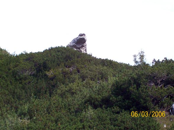 Hochleckenkogel 0808 ROFO - 