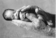 AnnE GeDDeS - 