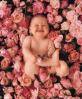 AnnE GeDDeS - 