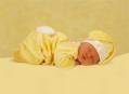 AnnE GeDDeS - 