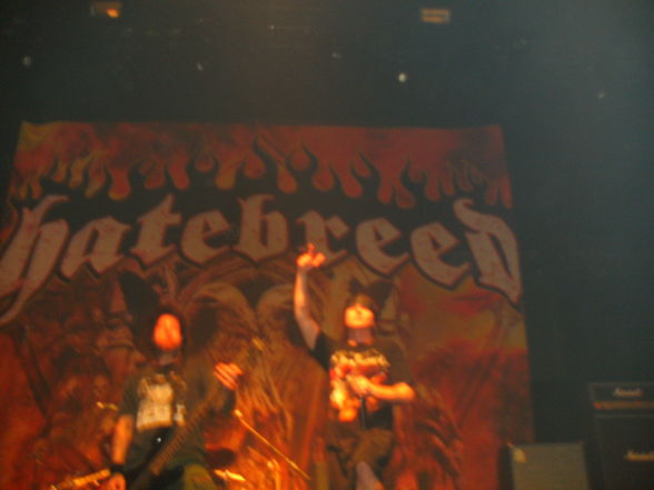 machine head und hatebreed - 