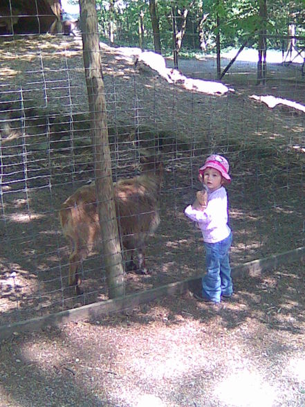 Netter Tagesausflug in den Tierpark - 