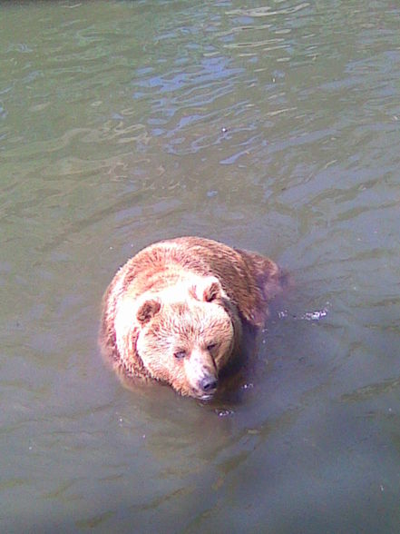 Netter Tagesausflug in den Tierpark - 