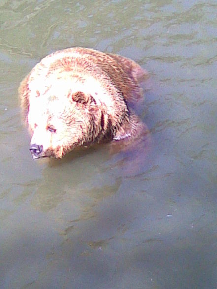 Netter Tagesausflug in den Tierpark - 