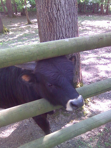 Netter Tagesausflug in den Tierpark - 