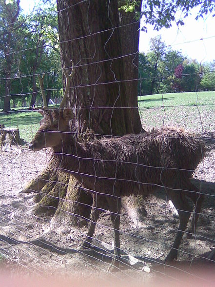 Netter Tagesausflug in den Tierpark - 