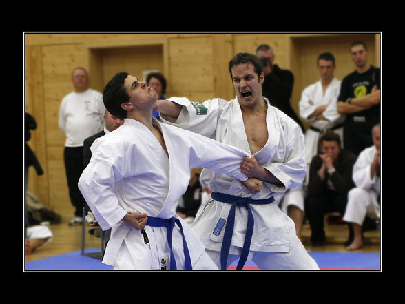 Karate Staatsmeisterschaft Wels Budokan - 