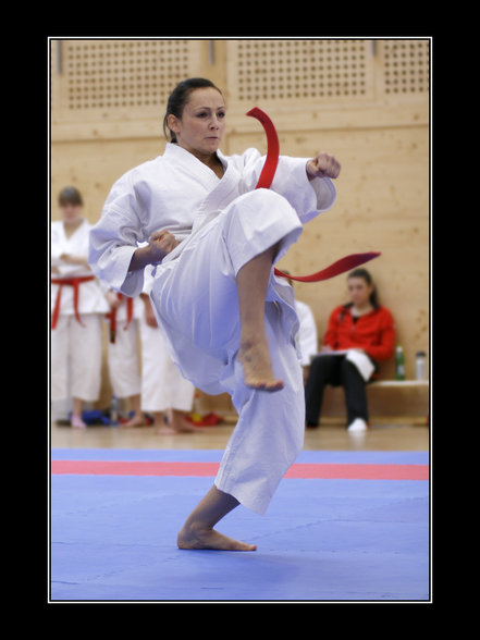 Karate Staatsmeisterschaft Wels Budokan - 