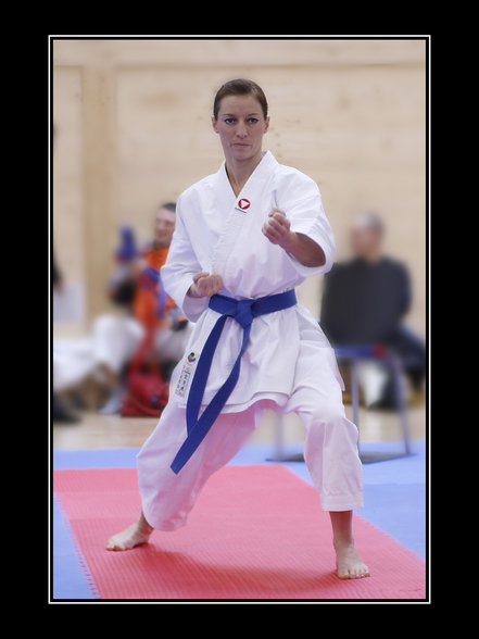 Karate Staatsmeisterschaft Wels Budokan - 