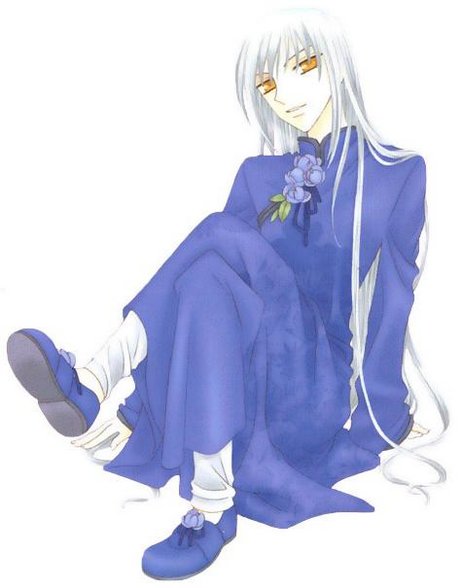 Fruits Basket - 